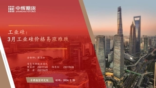 工业硅：3月工业硅价格易涨难跌-20240229-中辉期货-29页.pdf