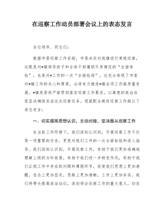 在巡察工作动员部署会议上的表态发言.docx