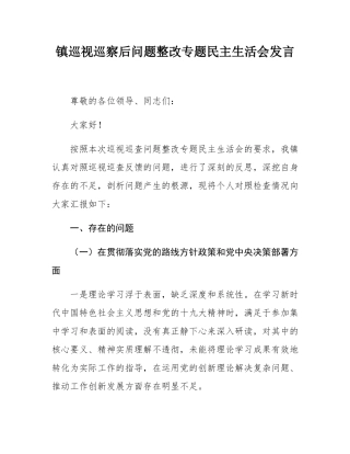 镇巡视巡察后问题整改专题民主SH会发言.docx