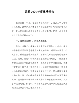 镇长2024年度述法报告.docx