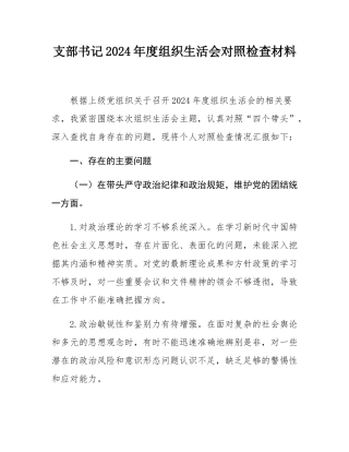 支部书记2024年度组织SH会对照检查材料.docx