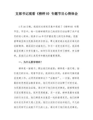 支部书记观看《榜样9》专题节目心得体会.docx