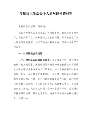 专题民主SH会个人的对照检查材料.docx