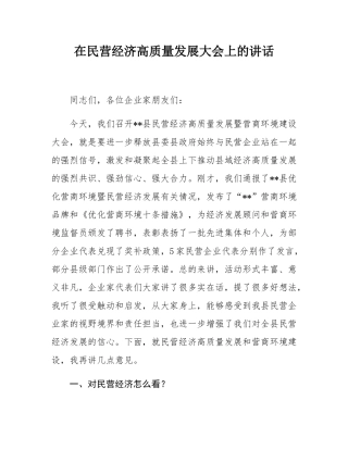 在民营经济高质量发展大会上的讲话.docx