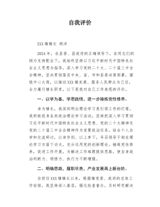 乡镇镇长自我评价材料.docx