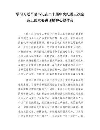 学习习近平总书记在二十届中央纪委三次全会上的重要讲话精神心得体会.docx