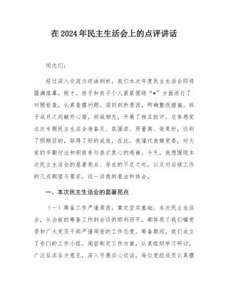 在2024年民主SH会上的点评讲话.docx