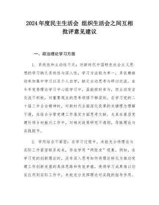 2024年度民主SH会 组织SH会之间互相批评意见建议.docx