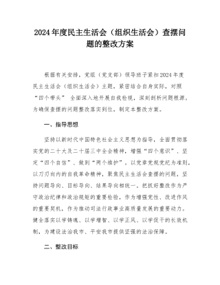 2024年度民主SH会（组织SH会）查摆问题的整改方案.docx