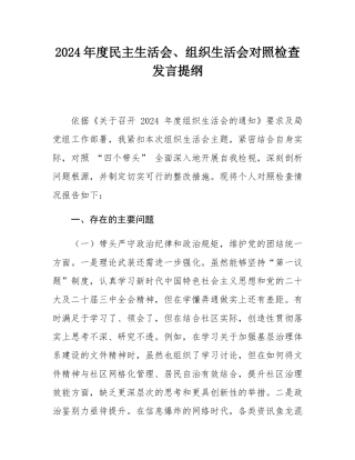 2024年度民主SH会、组织SH会对照检查发言提纲.docx