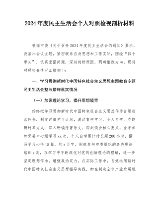 2024年度民主SH会个人对照检视剖析材料.docx