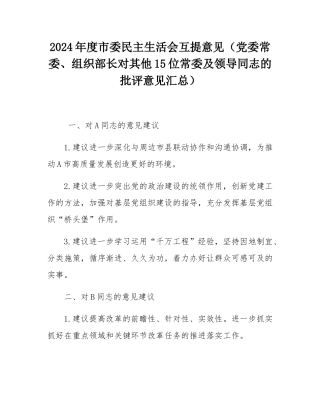 2024年度市委民主SH会互提意见（党委常委、组织部长对其他15位常委及领导同志的批评意见汇总）.docx