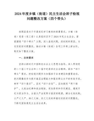 2024年度乡镇（街道）民主SH会班子检视问题整改方案（四个带头）.docx