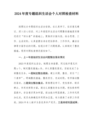 2024年度专题组织SH会个人对照检查材料.docx