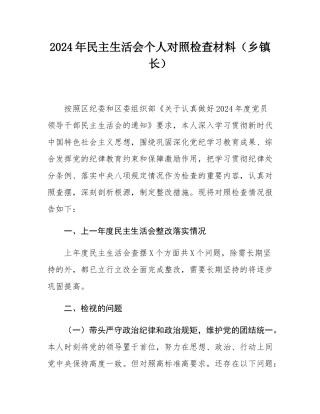 2024年民主SH会个人对照检查材料（乡镇长）.docx