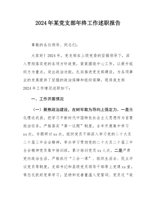 2024年某党支部年终工作述职报告.docx