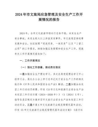2024年市文旅局应急管理及安全生产工作开展情况的报告.docx