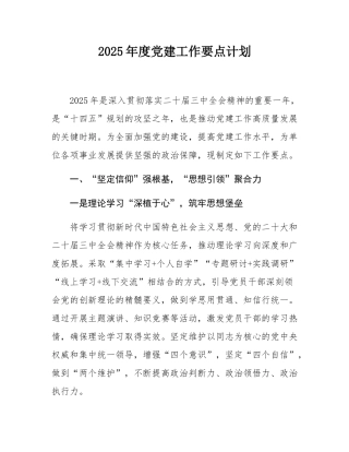2025年度党建工作要点计划.docx