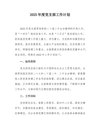 2025年度党支部工作计划.docx
