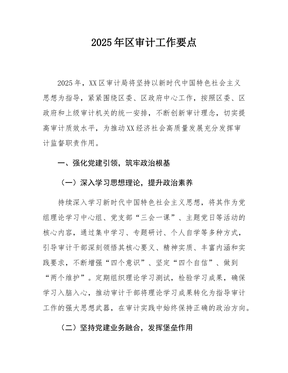 2025年区审计工作要点.docx_第1页