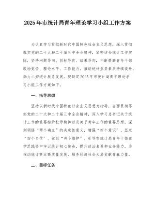 2025年市统计局青年理论学习小组工作方案.docx
