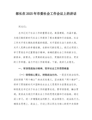 部长在2025年市委社会工作会议上的讲话.docx