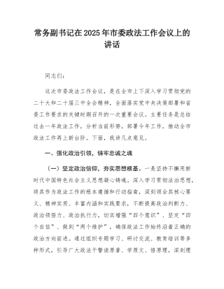 常务副书记在2025年市委政法工作会议上的讲话.docx
