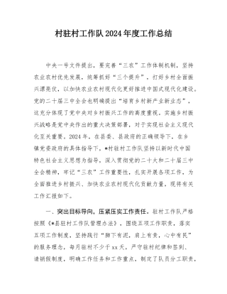 村驻村工作队2024年度工作总结.docx