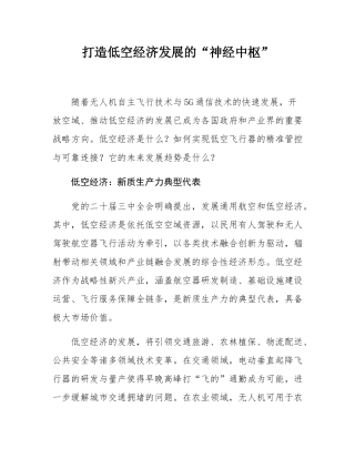 打造低空经济发展的“神经中枢”.docx