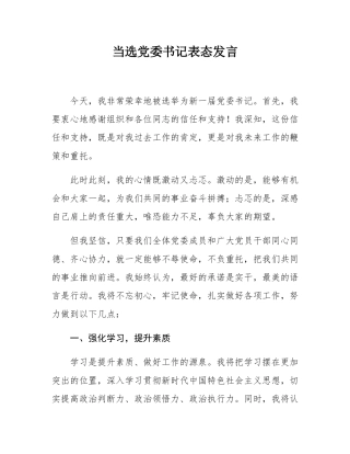 当选党委书记表态发言.docx