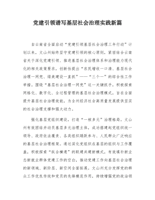 党建引领谱写基层社会治理实践新篇.docx