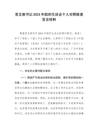党支部书记2024年组织SH会个人对照检查发言材料.docx