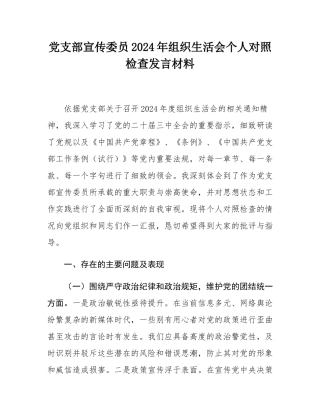 党支部宣传委员2024年组织SH会个人对照检查发言材料.docx