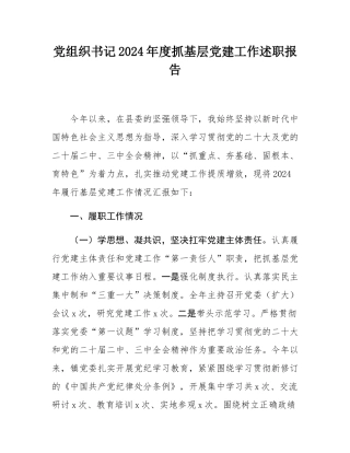 党组织书记2024年度抓基层党建工作述职报告.docx