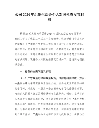 公司2024年组织SH会个人对照检查发言材料.docx