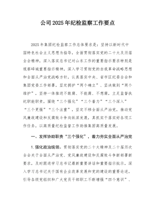 公司2025年纪检监察工作要点.docx