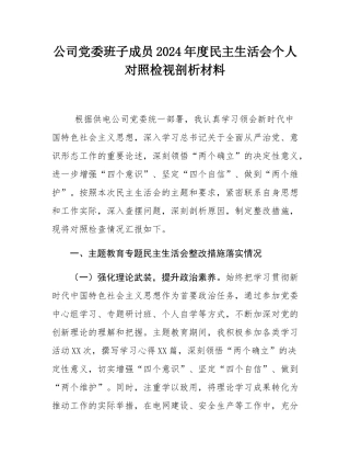 公司党委班子成员2024年度民主SH会个人对照检视剖析材料.docx