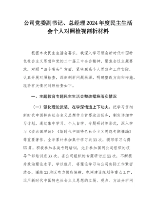 公司党委副书记、总经理2024年度民主SH会个人对照检视剖析材料.docx