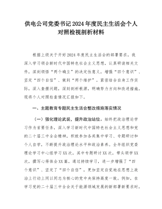 供电公司党委书记2024年度民主SH会个人对照检视剖析材料.docx
