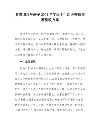 共青团领导班子2024年度民主SH会查摆问题整改方案.docx