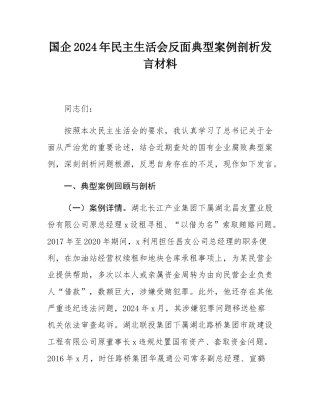 国企2024年民主SH会反面典型案例剖析发言材料.docx