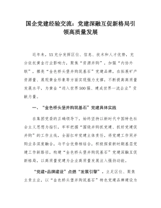 国企党建经验交流：党建深融互促新格局引领高质量发展.docx