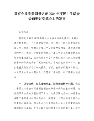 国有企业党委副书记在2024年度民主SH会会前研讨交流会上的发言.docx