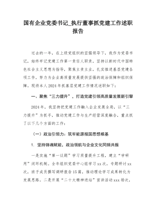 国有企业党委书记_执行董事抓党建工作述职报告.docx