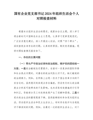 国有企业党支部书记2024年组织SH会个人对照检查材料.docx