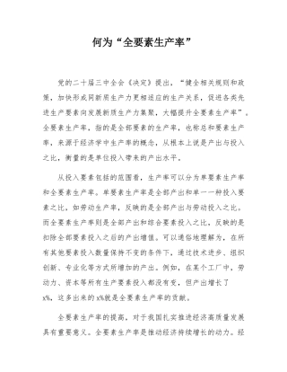 何为“全要素生产率”.docx