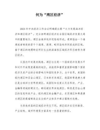 何为“湾区经济”.docx