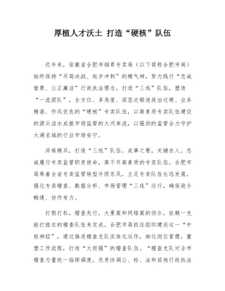 厚植人才沃土 打造“硬核”队伍.docx