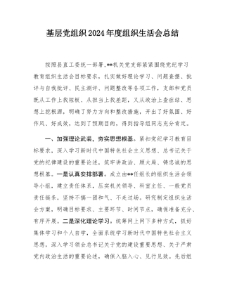 基层党组织2024年度组织SH会总结.docx