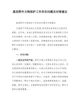 基层野外文物保护工作存在问题及对策建议.docx